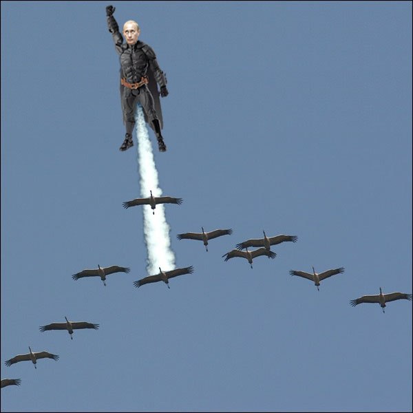 yNpfl1bIPR4.jpg