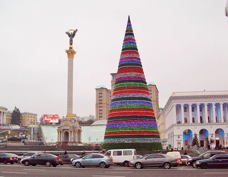 yolka.webp