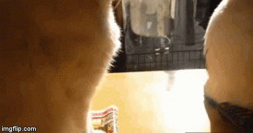 yp2fb.gif