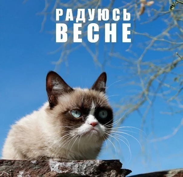 YPanw3wmhnU.webp