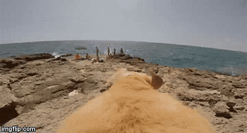 ypwbq.gif
