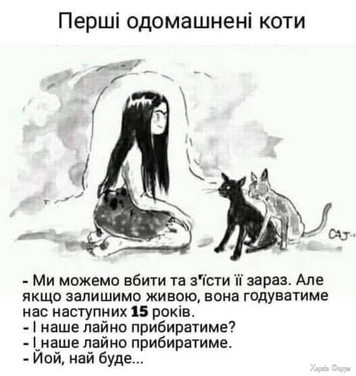 YqJ3ekERiHoI7hs&_nc_zt=23&_nc_ht=scontent.fiev28-1.webp