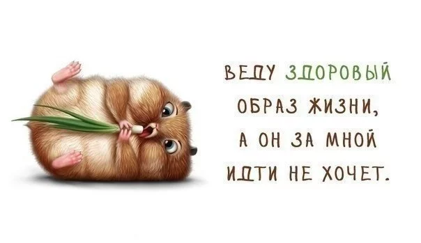 ysGUKm2rKcg.webp