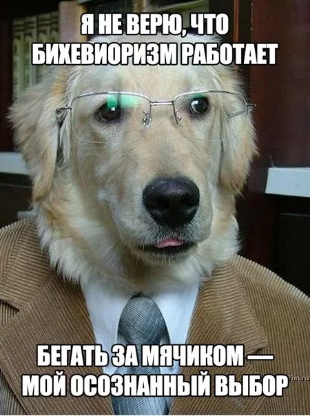 YsOzanwYIP4.webp