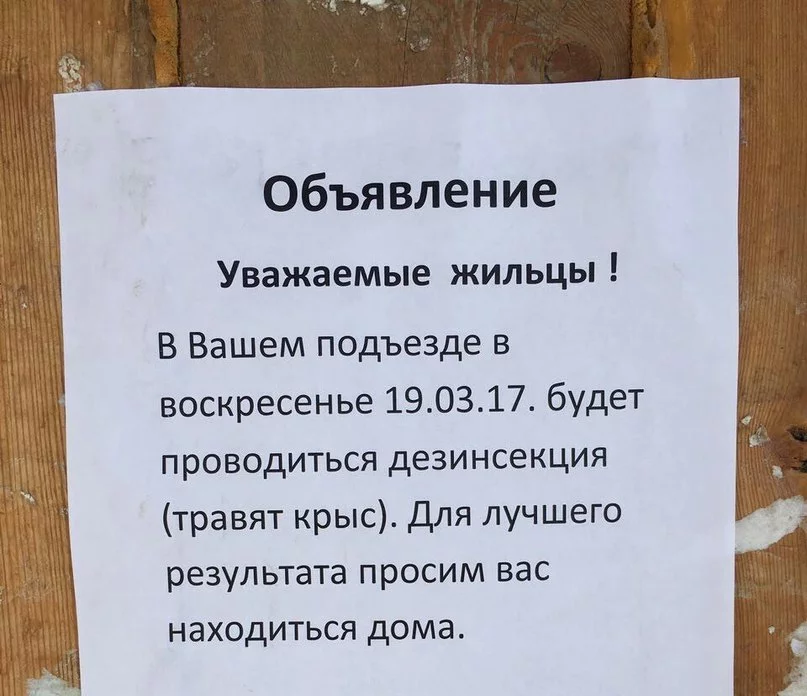 YTn_yzl9JmQ.webp