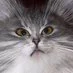 YTvxSzbq_bigger.webp