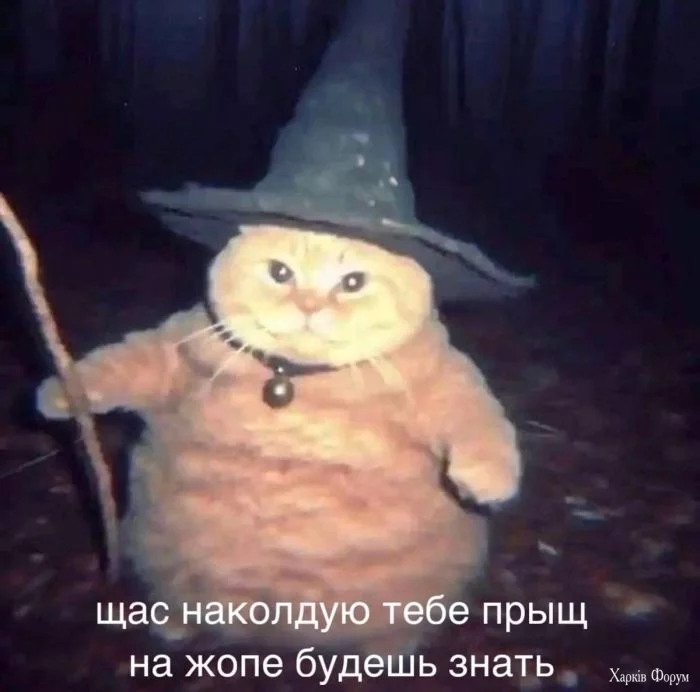 yumor-dlya-teh-kto-uzhe-povzroslel5.webp