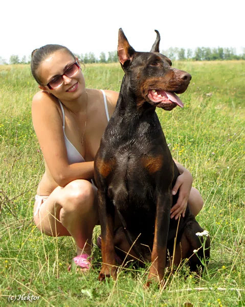 yv013.webp