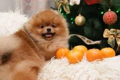 yWfMN.webp