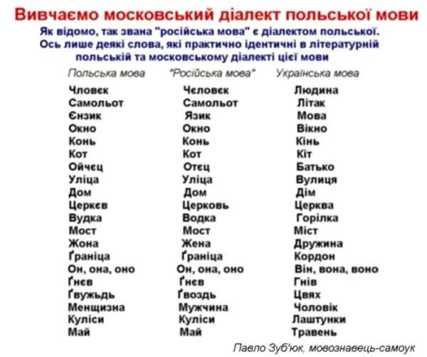 YwlKdgNz5l4.webp