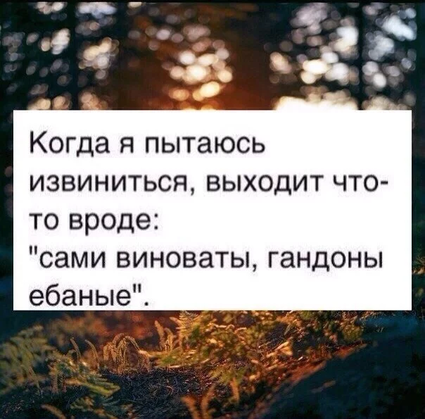 ywn9lXV48Bs.webp