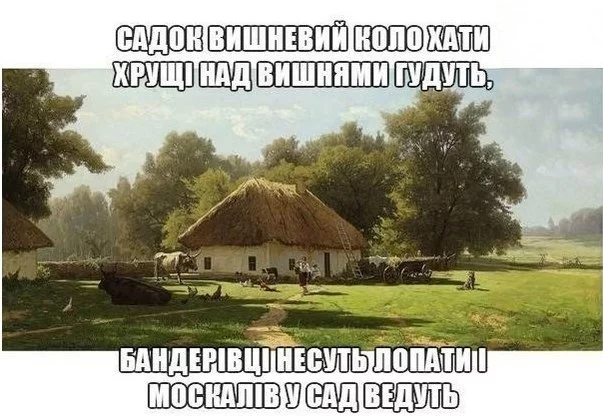 Yy5U7l6NLxE.webp