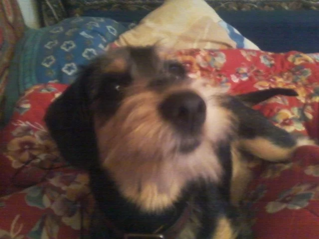 -z05Ty98aQI.webp