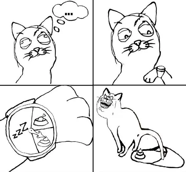 Z2RriOLxsDc.webp