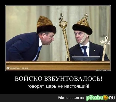 z7g.webp