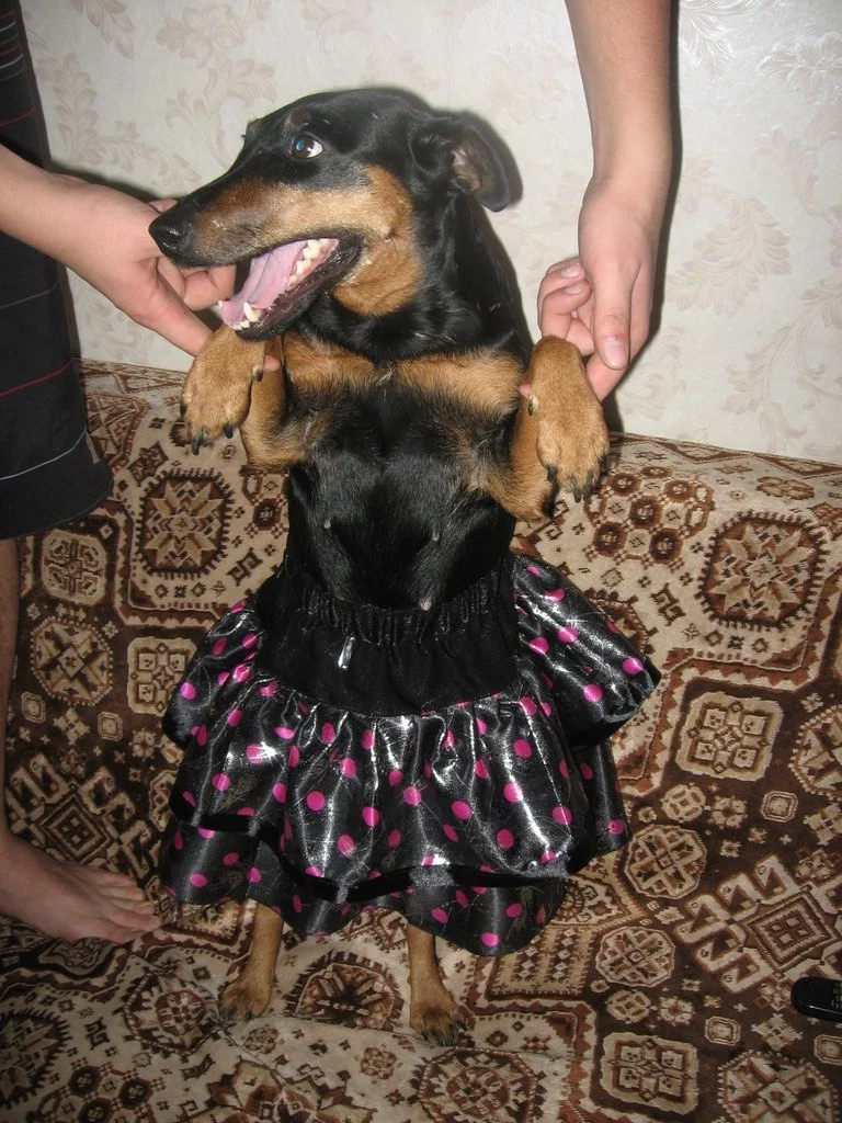 z_024cddce.webp