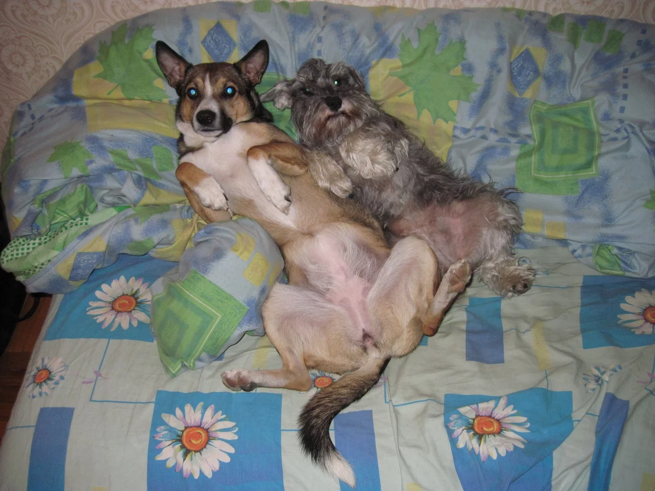 z_71734a22.webp