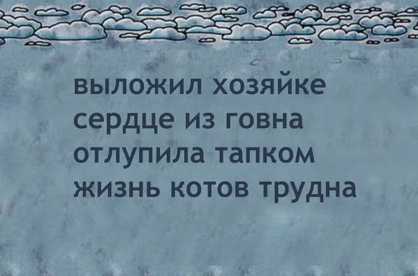 Z_CaiWK2GrU.webp