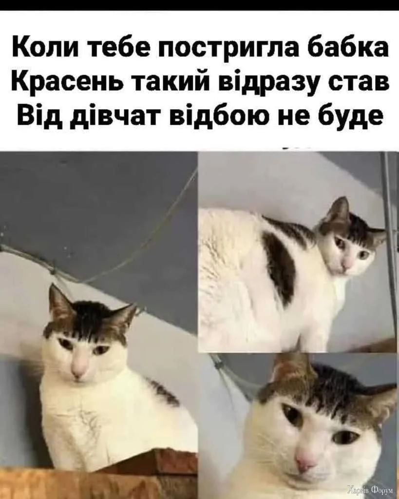 zachiska-vid-babky.webp