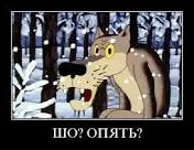 ZarbWcQ1ortUUsubMjMfchfoowNlaNoQ7nwyaHeBf0gIMG5cMw.webp
