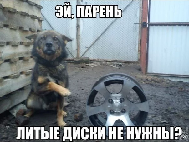 ZC7VwYCP804.webp