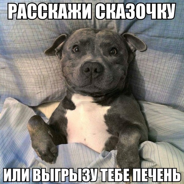 zCe5Npl9zws.jpg