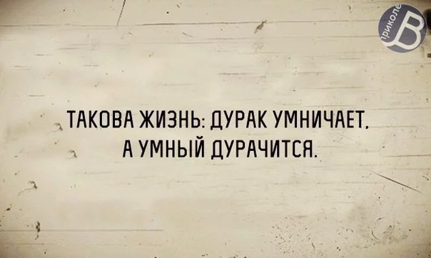 zd52HgasMew.webp