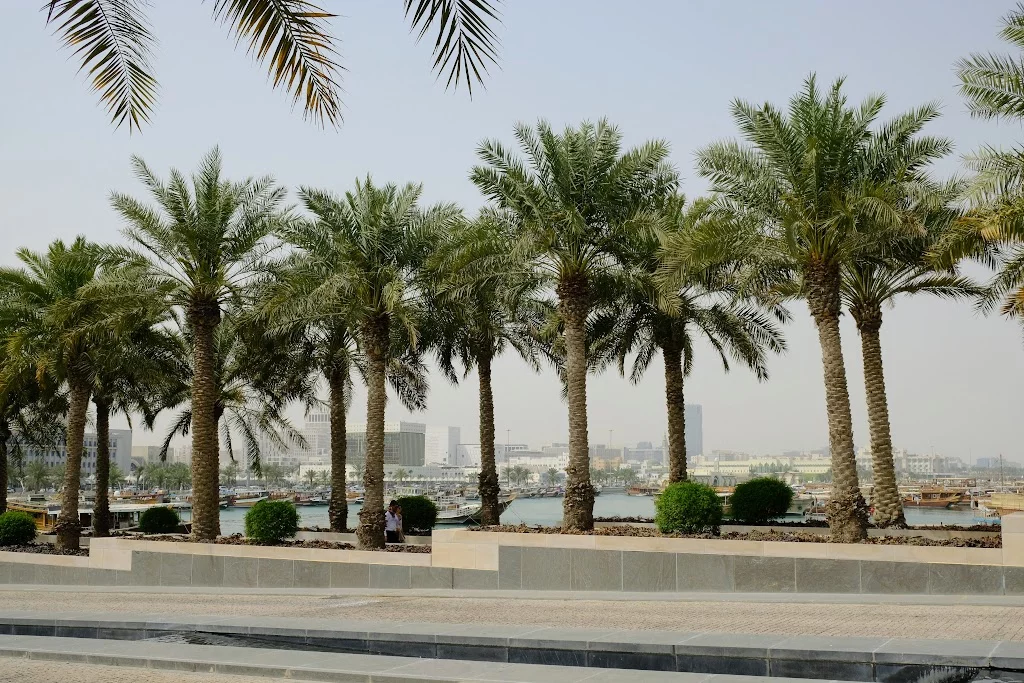 zE6YfOy40eMqHOu0aHZqqFQgEhb_tOOhOpkznCRQlz5Q=w1024.webp