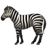 zebra-apple.webp