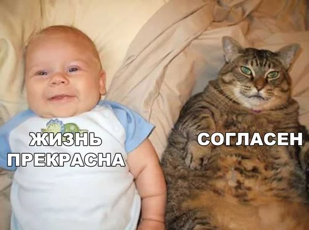 zhizn-prekrasna-open.webp