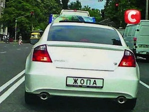 zhopa.webp