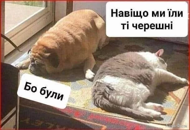 Zjigt4lDTPuOtDFY&_nc_zt=23&_nc_ht=scontent.fdnk1-4.jpg