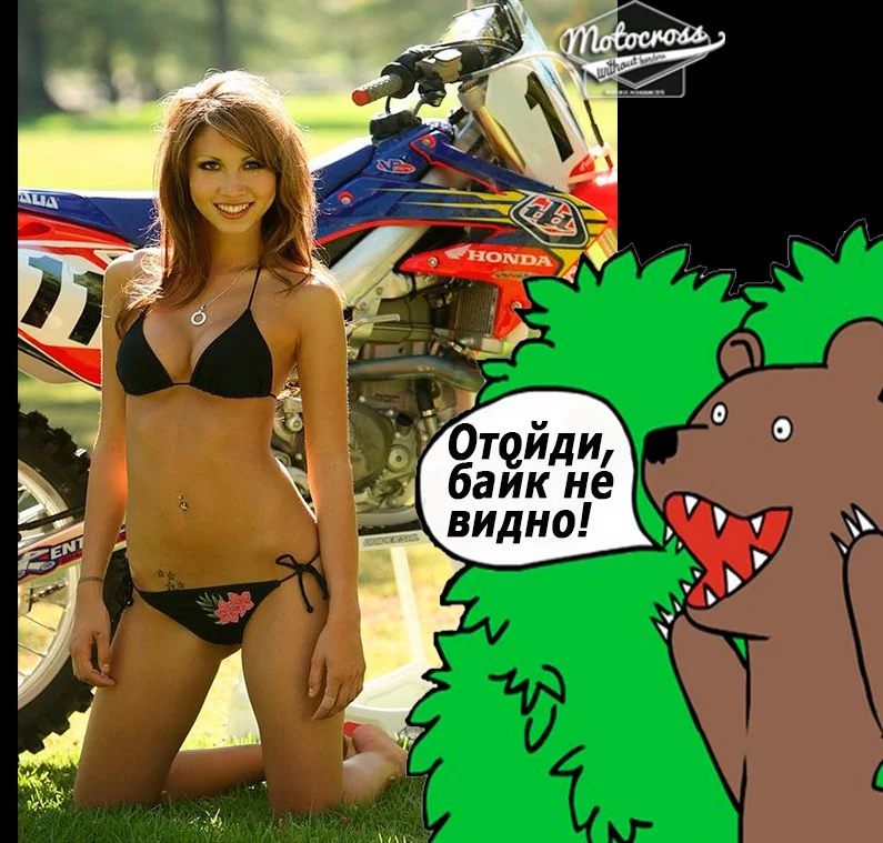 zLArNi4SVNE.webp