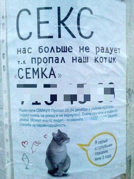 ZM1xpkE5g0A.jpg