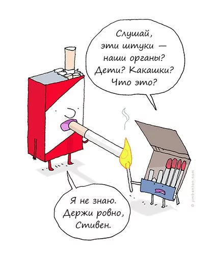 ZmoXHNtGfDk.webp