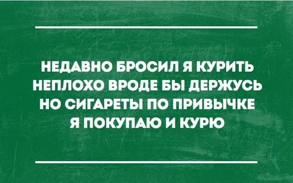 ZmWtFHsY3nY.webp
