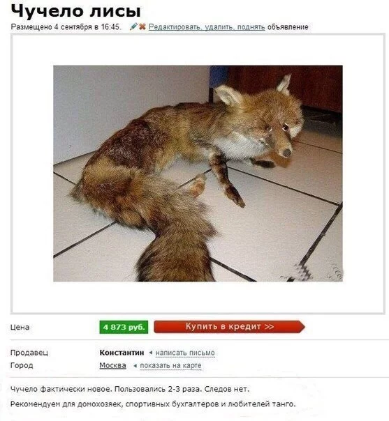 zNXB6VvWPXQ.webp