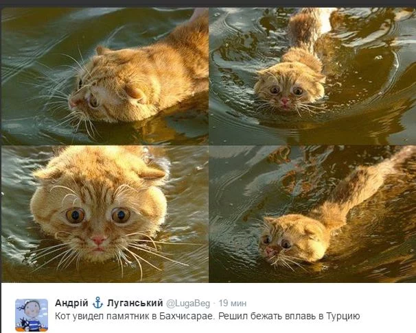 zp3t91RSnwk.webp