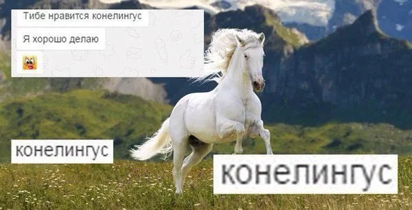 ZRowoc0dtXo.webp