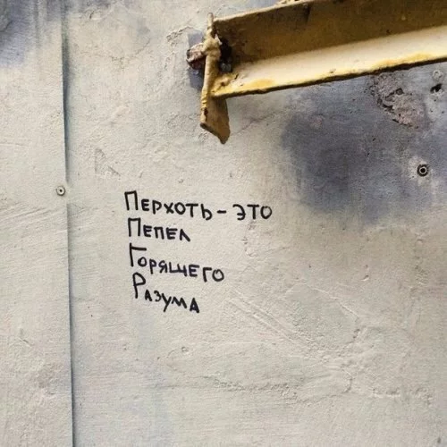 ZrUGi8oMLVM.webp