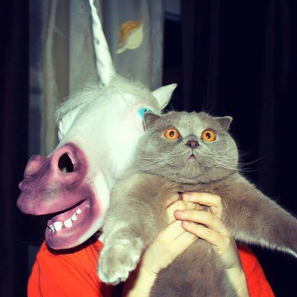 zSJa7AHDlxc.webp