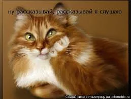 ZVSy6zltzuzZDcmQDr5SKnsjvKfFODOqLuEIvfcSfl_HtX8OeQ.webp