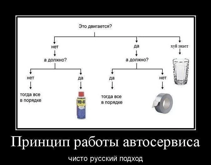 ZxBmPVuWtvA.webp