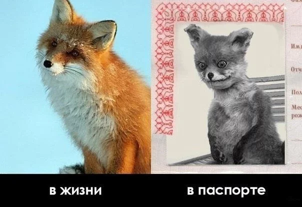 zYQTlXtcHqg.webp