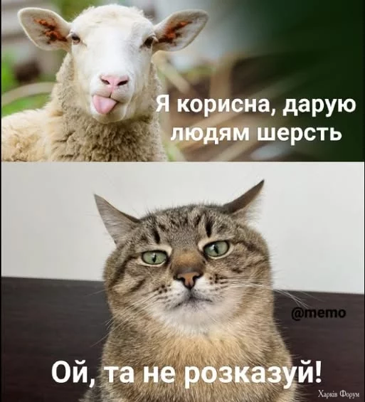 ZzbpEyaa3oC_mcM&_nc_zt=23&_nc_ht=scontent.fiev25-1.jpg