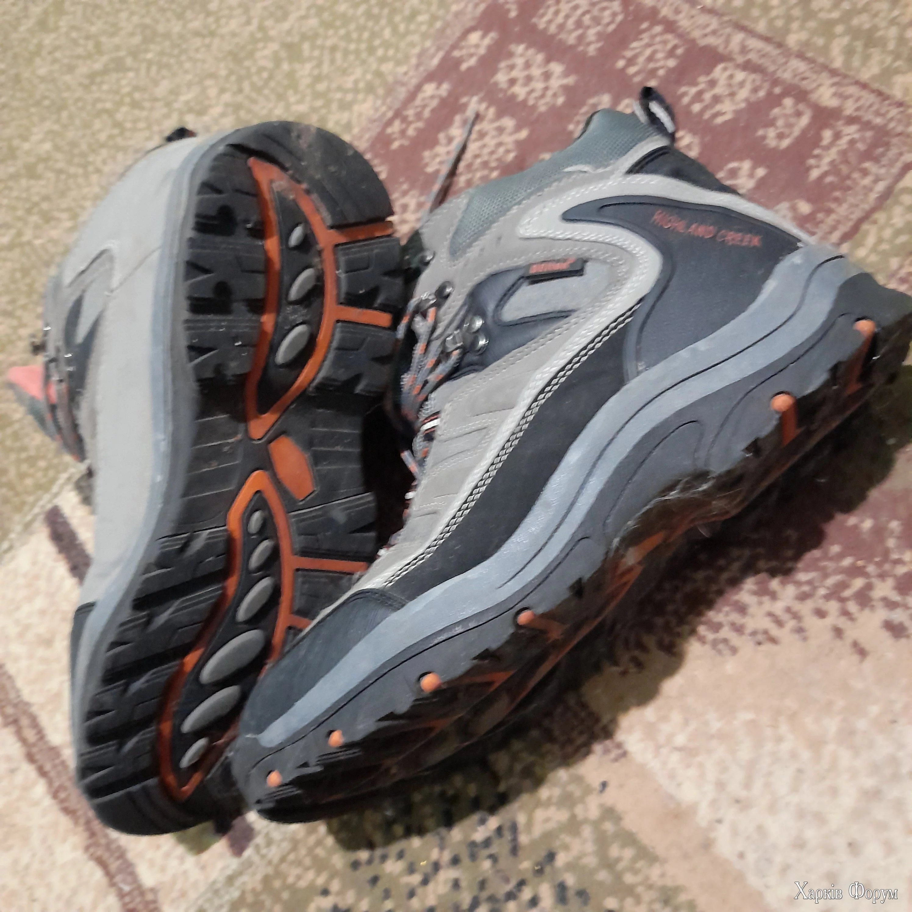 20250426_003207.webp