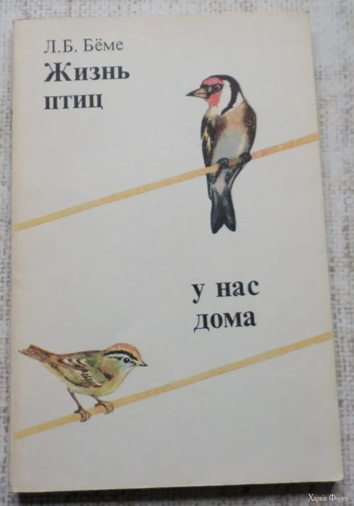  птицы, БЕМЕ.webp