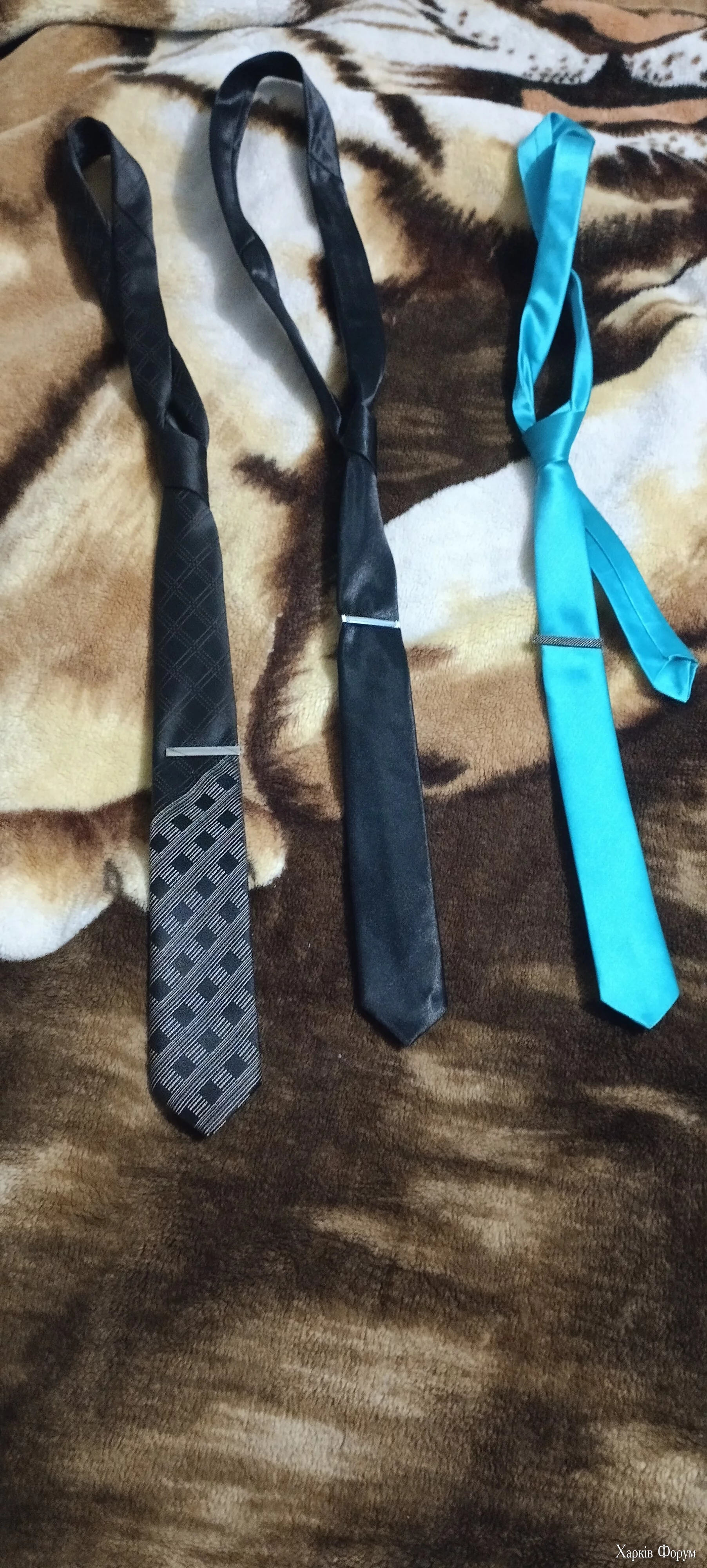 IMG_20250216_194255.webp