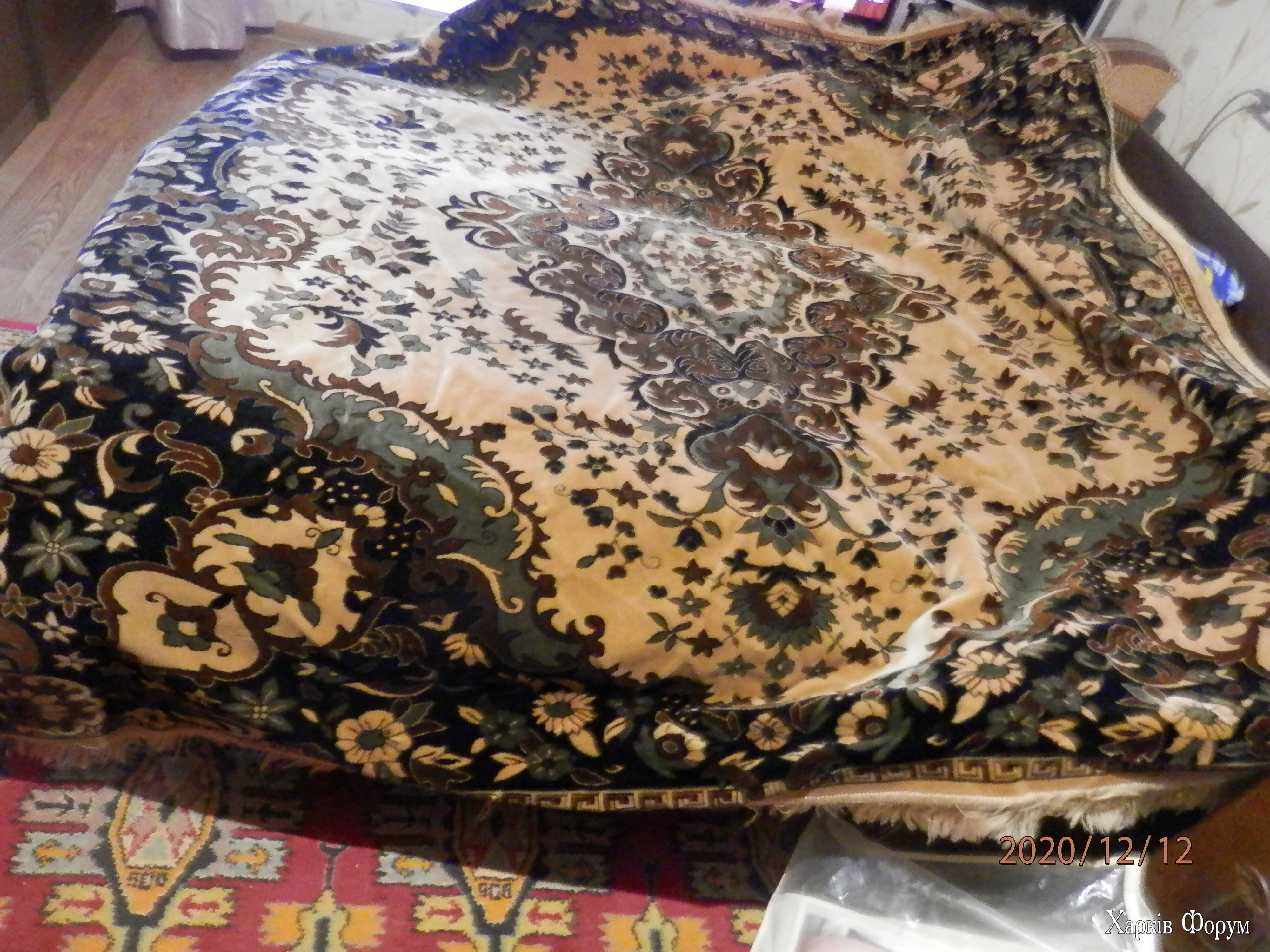 PC125095.webp