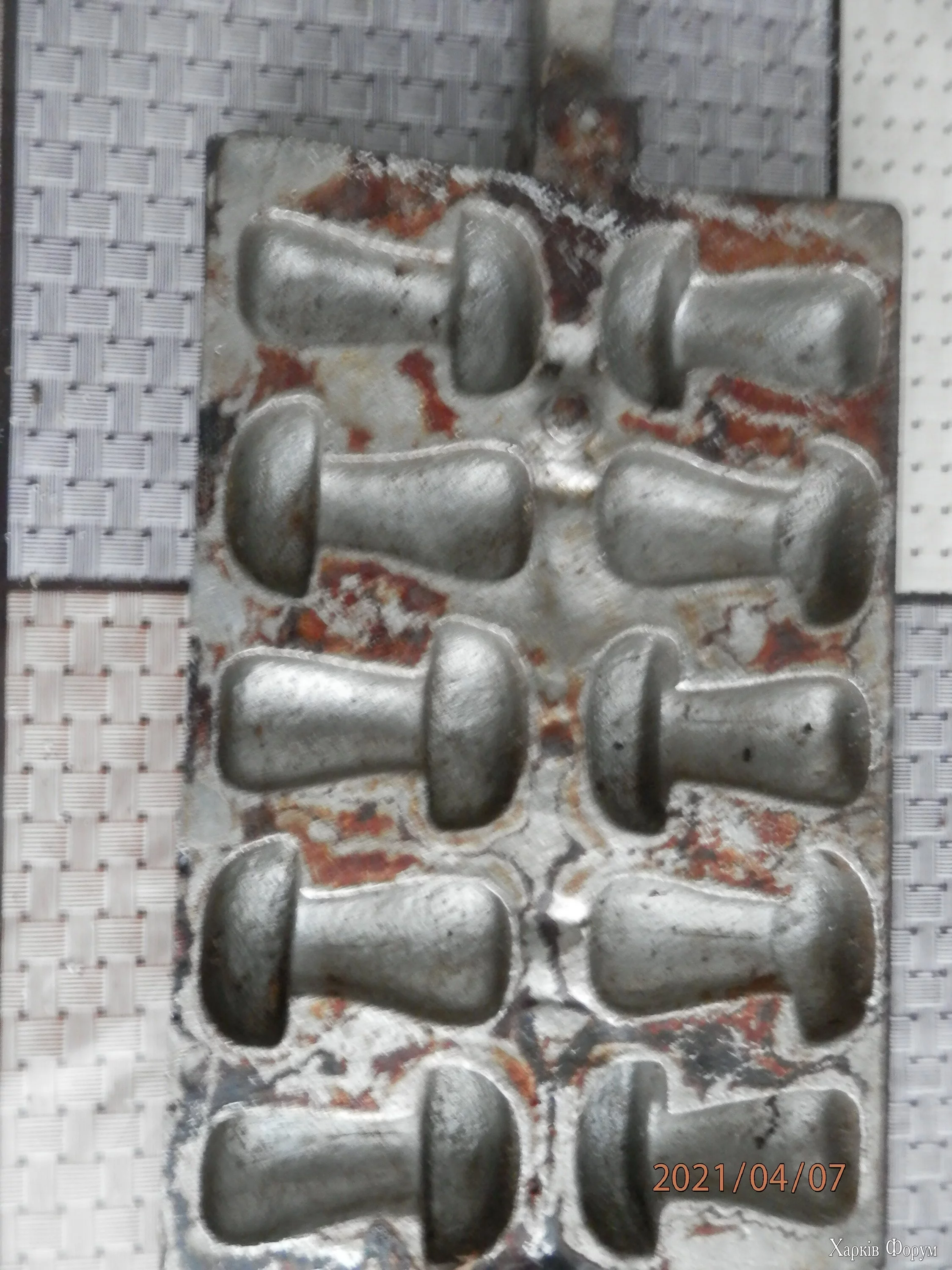 P4075111.webp